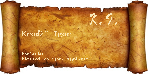 Kroó Igor névjegykártya